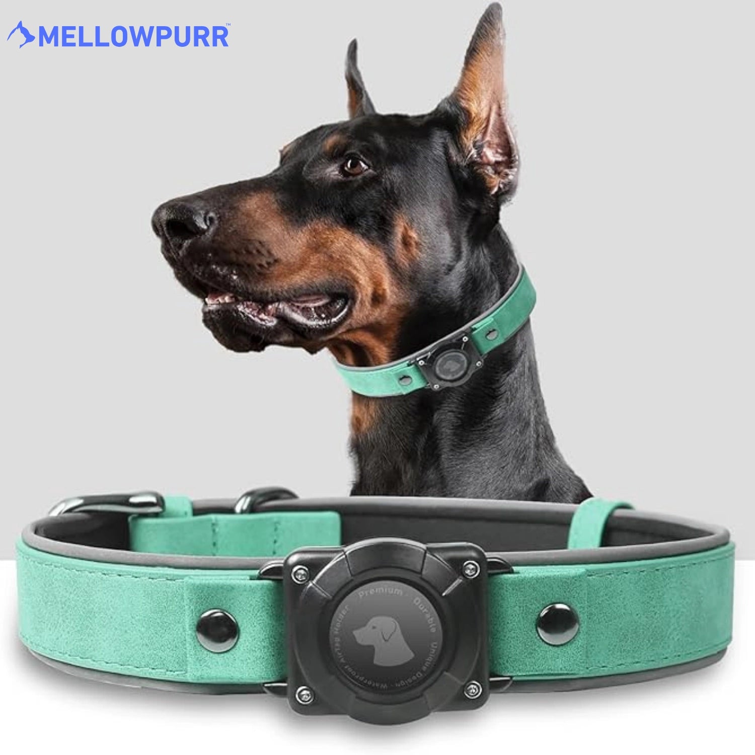 MellowPurr Smart AirTag Köpek Tasması – Kaybolmak Artık İmkânsız