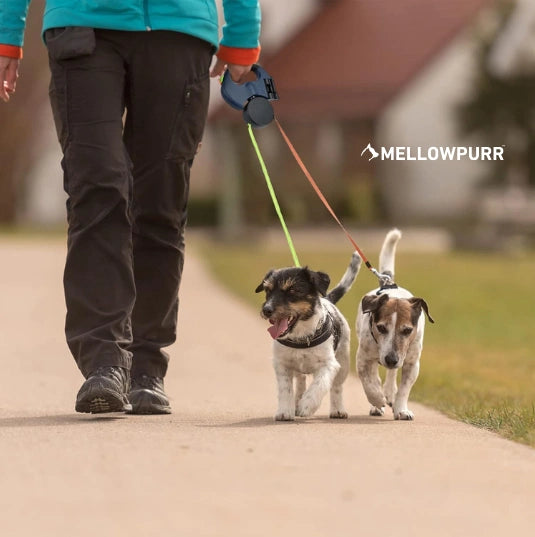 MellowPurr SenkroTasma – Çarpışma Yok, Karışıklık Yok