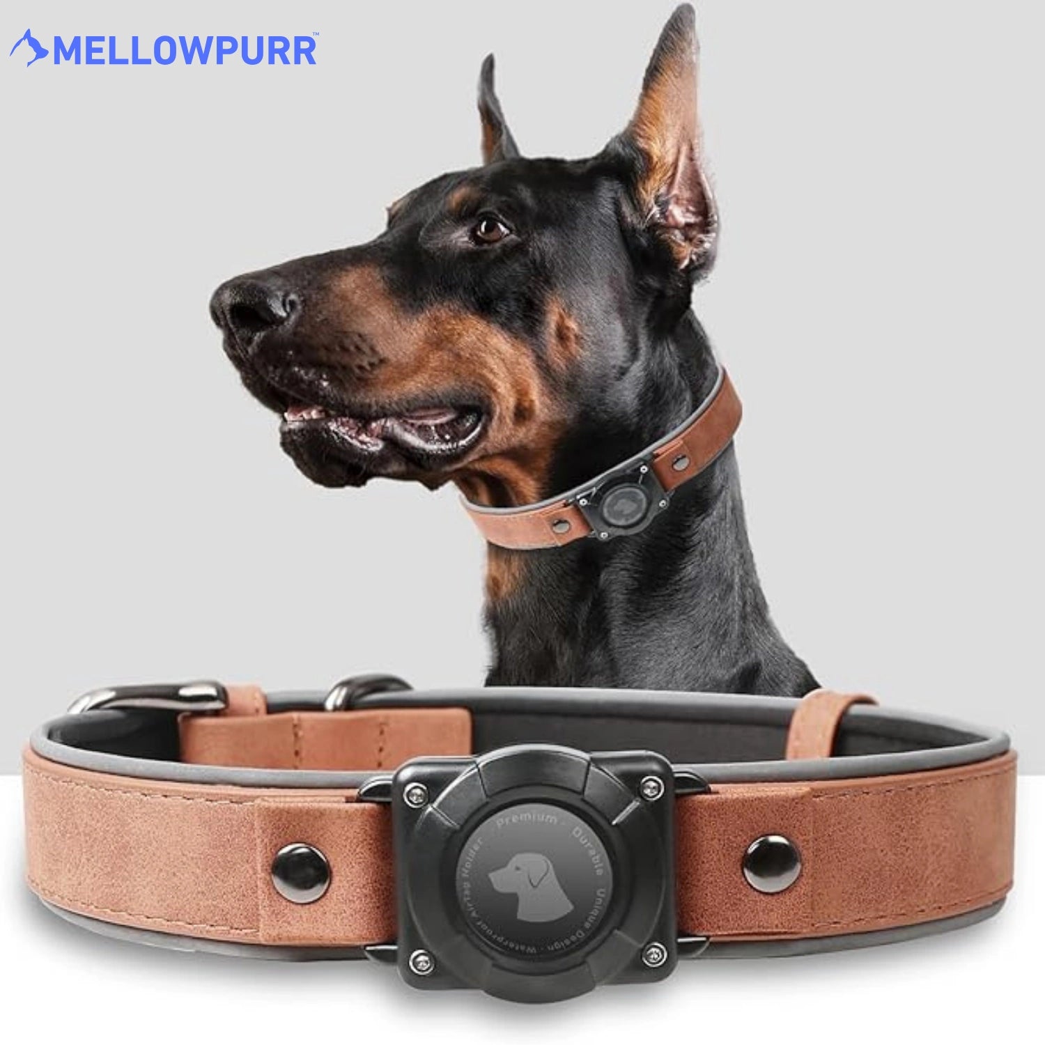 MellowPurr Smart AirTag Köpek Tasması – Kaybolmak Artık İmkânsız