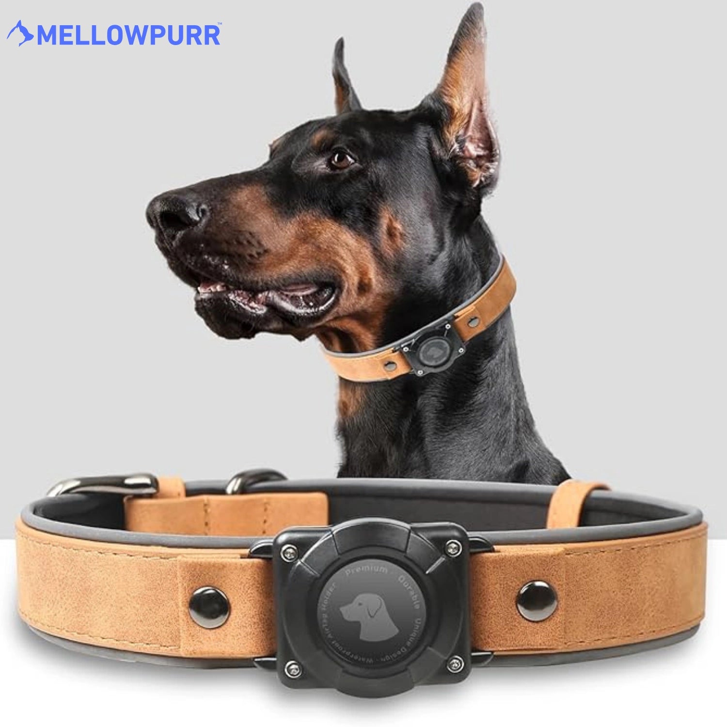 MellowPurr Smart AirTag Köpek Tasması – Kaybolmak Artık İmkânsız