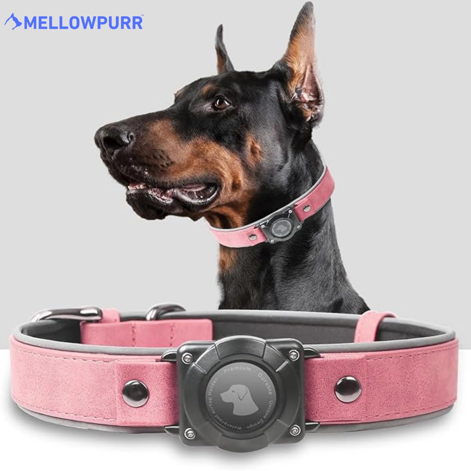 MellowPurr Smart AirTag Köpek Tasması – Kaybolmak Artık İmkânsız