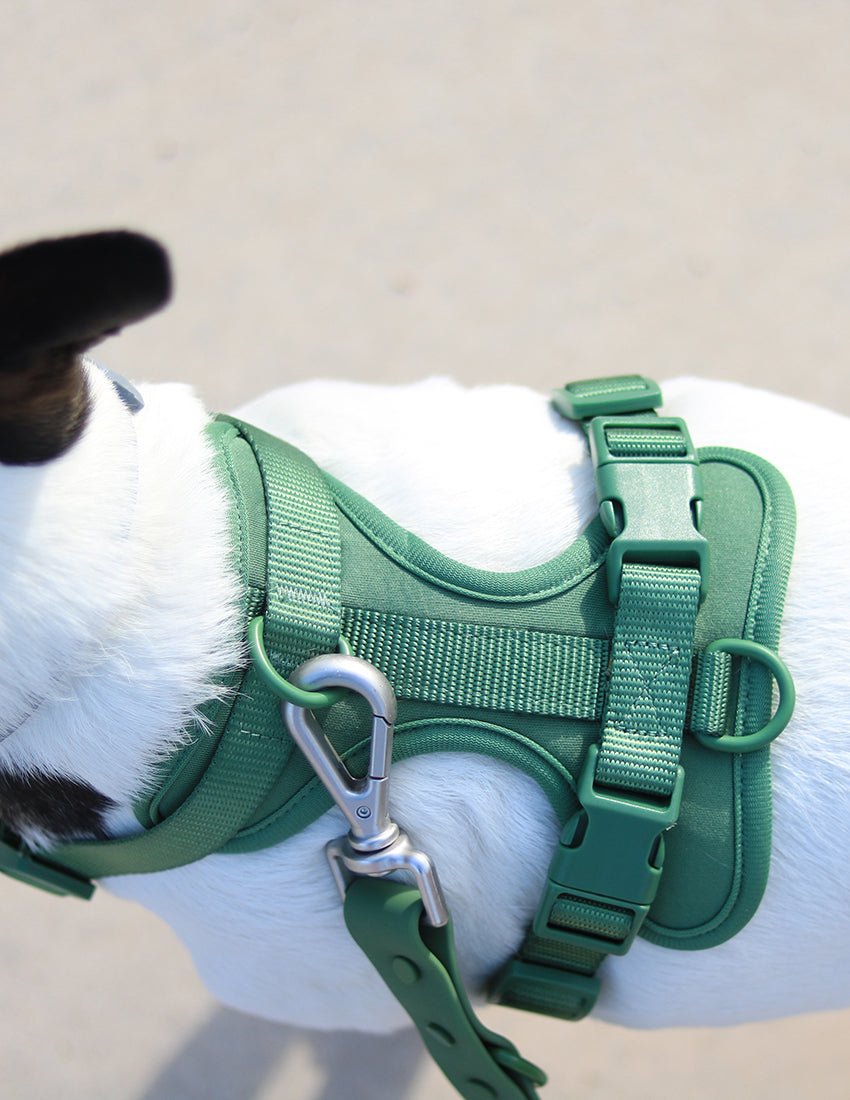 Mellowpurr Yürüyüş Seti - Orman Yeşili