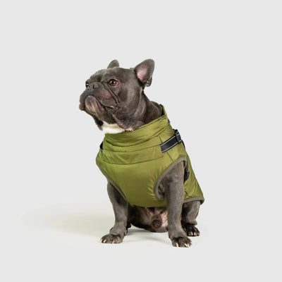 Mellowpurr Su Geçirmez Köpek Montu