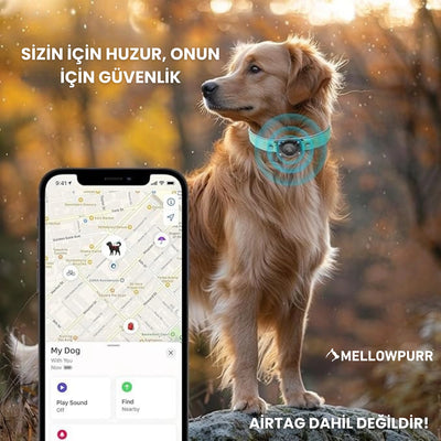 MellowPurr Smart AirTag Köpek Tasması – Kaybolmak Artık İmkânsız