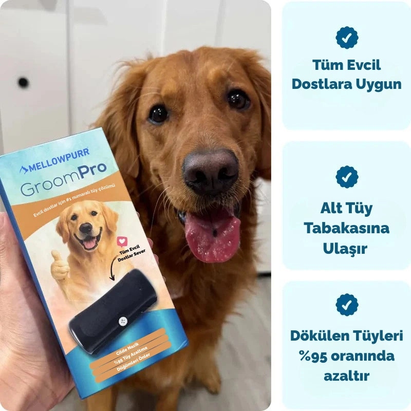 Mellowpurr GroomPro 2.0 – Her Fırçada Kontrolü Geri Kazan