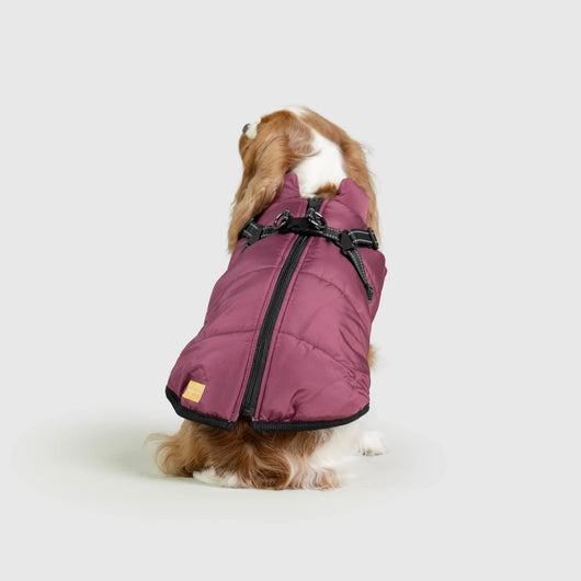 Mellowpurr Su Geçirmez Köpek Montu