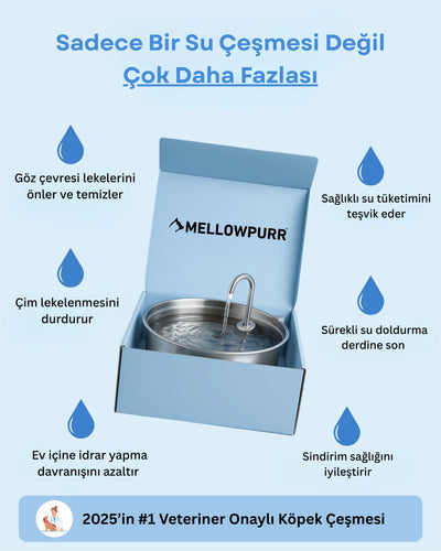 Mellowpurr Karbon Filtreli Su Pınarı - Gizli Susuzluğa Karşı "O susadığını söyleyemez… ama sen anlayabilirsin."