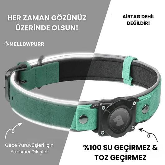 MellowPurr Smart AirTag Köpek Tasması – Kaybolmak Artık İmkânsız