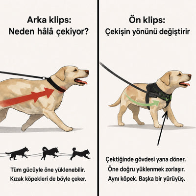 MellowPurr Çekiş Önleyici Köpek Göğüs Tasması | Ön Klipsli Kontrol