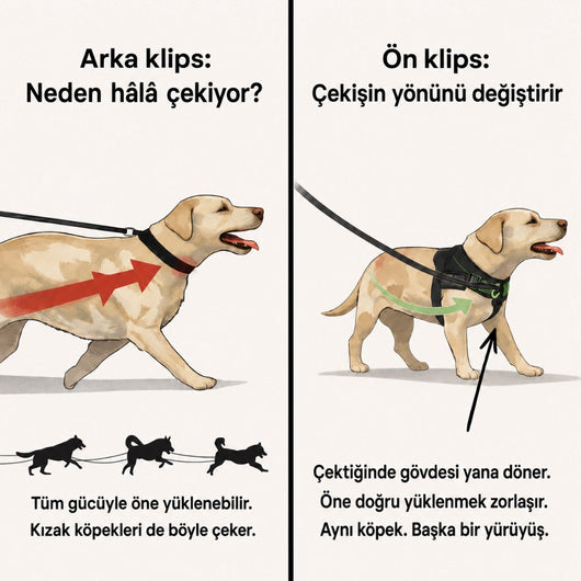 MellowPurr Çekiş Önleyici Köpek Göğüs Tasması | Ön Klipsli Kontrol
