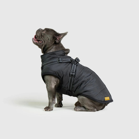 Mellowpurr Su Geçirmez Köpek Montu