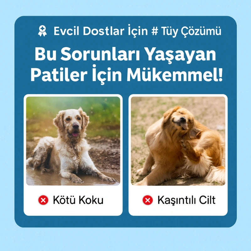 Mellowpurr GroomPro 2.0 – Her Fırçada Kontrolü Geri Kazan