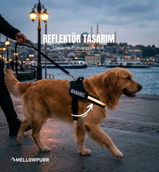 MellowPurr Özelleştirilebilir No Pull Köpek Tasması