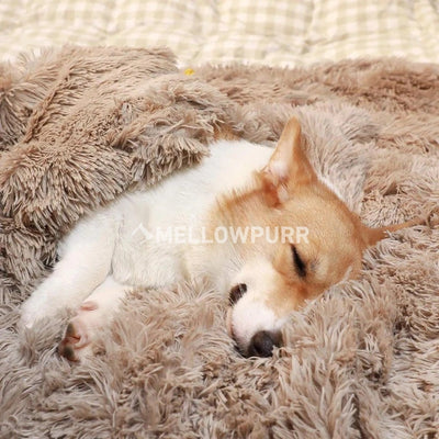 Mellowpurr Huzurlu Cozy Battaniye