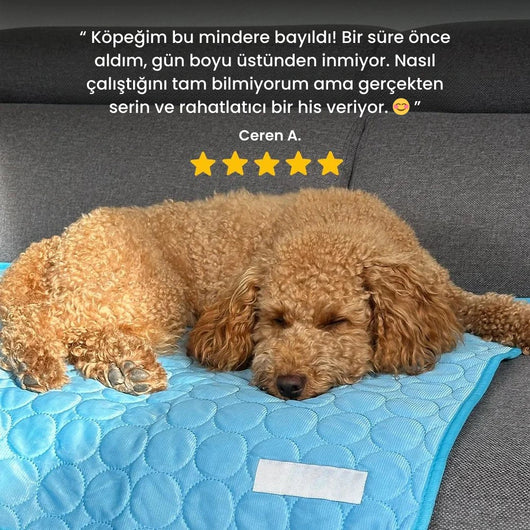 Mellowpurr Soğutucu Mat - Anında Serinlik, Uzun Süreli Rahatlık