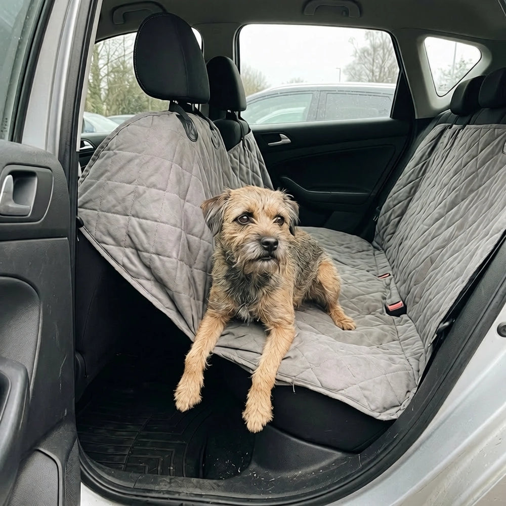 1. Standart "Yumuşak" Örtüler Köpeğinizde Gizli Bir Kaygı Yaratır