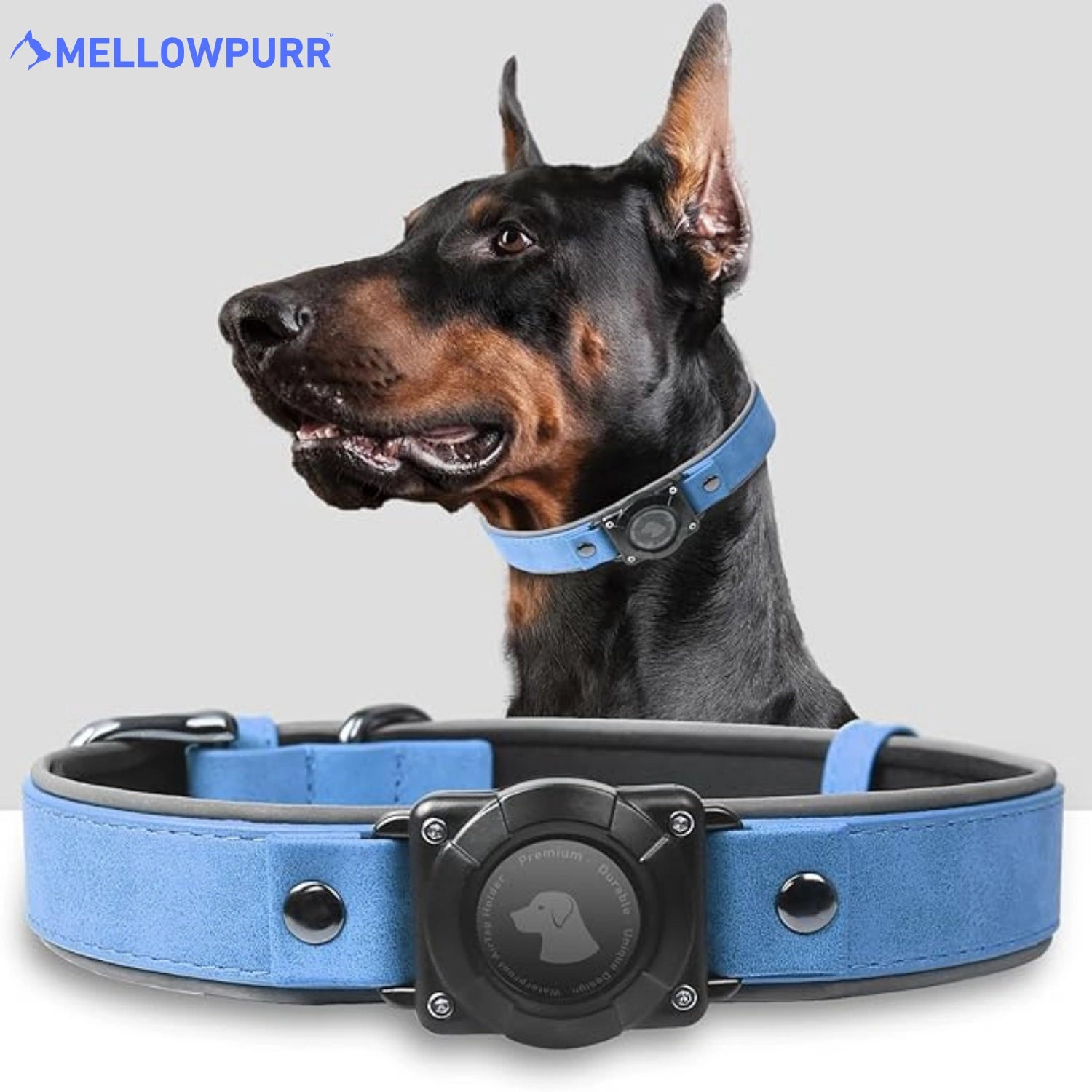 MellowPurr Smart AirTag Köpek Tasması – Kaybolmak Artık İmkânsız