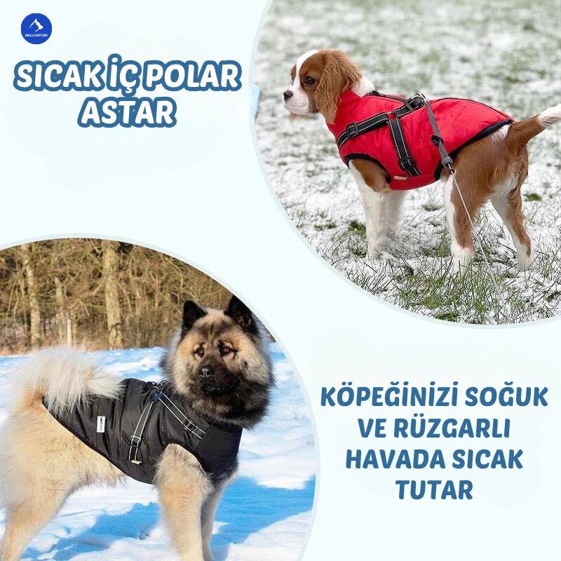 Mellowpurr Su Geçirmez Köpek Montu