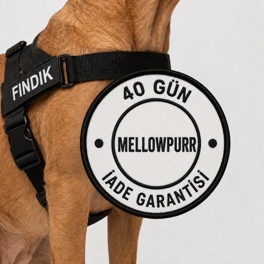MellowPurr Çekiş Önleyici Köpek Göğüs Tasması | Ön Klipsli Kontrol