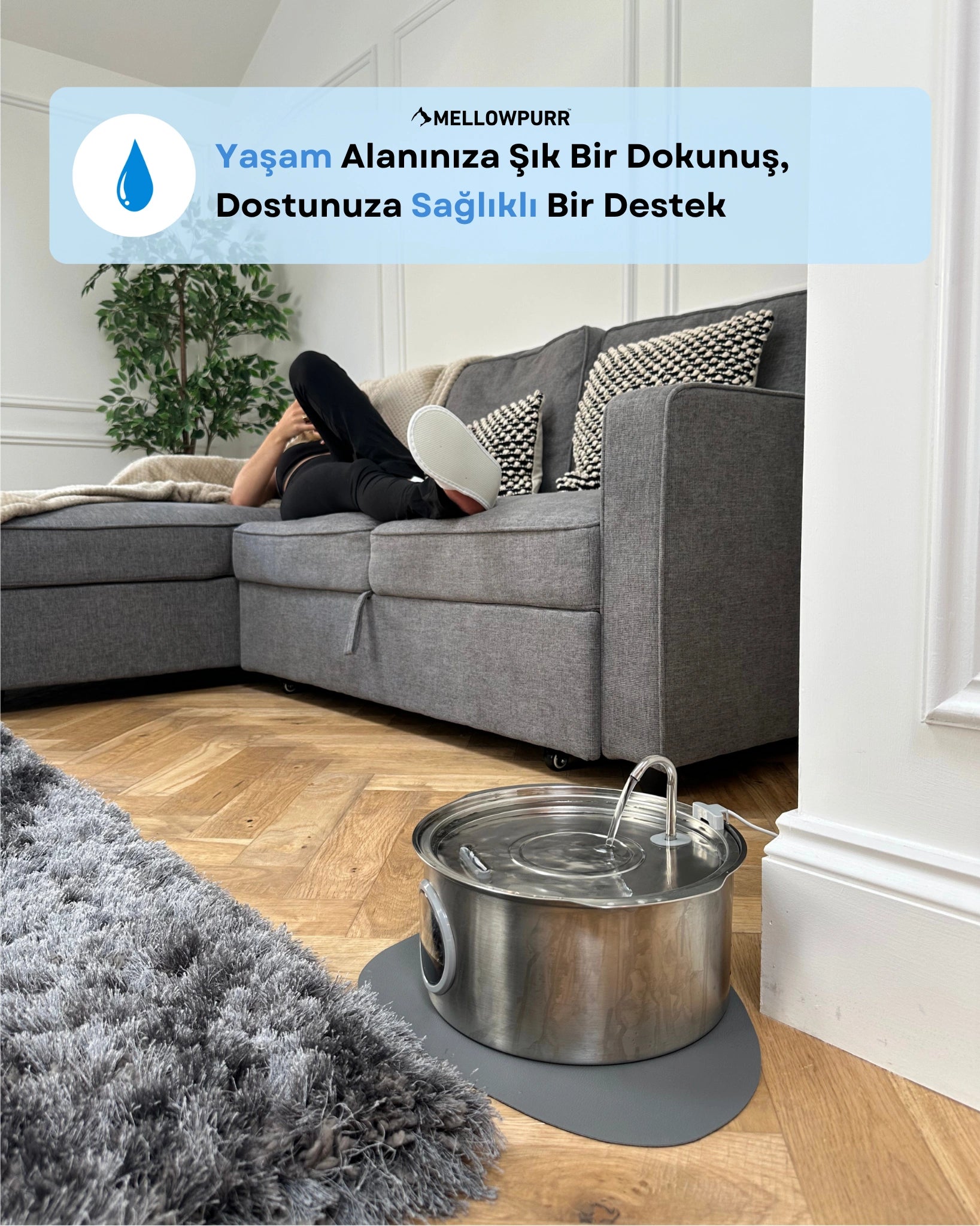 Mellowpurr Karbon Filtreli Su Pınarı - Gizli Susuzluğa Karşı "O susadığını söyleyemez… ama sen anlayabilirsin."