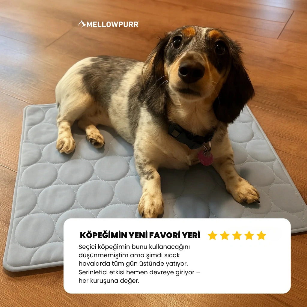 MellowPurr Soğutucu Mat | ChillTech Edition -  4 Mevsim Akıllı Konfor