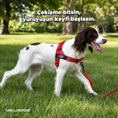 MellowPurr Çekiş Önleyici Köpek Göğüs Tasması | Ön Klipsli Kontrol