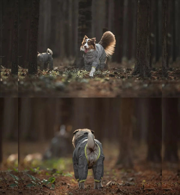 Mellowpurr Pluvia Yağmurluk - Her Hava koşulunda Koruma!