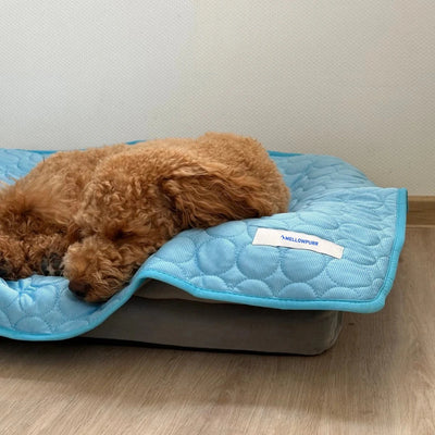 Mellowpurr Soğutucu Mat - Anında Serinlik, Uzun Süreli Rahatlık