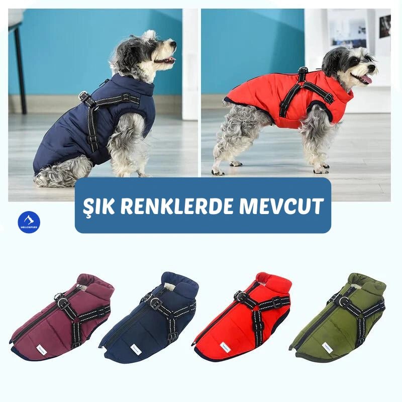 Mellowpurr Su Geçirmez Köpek Montu