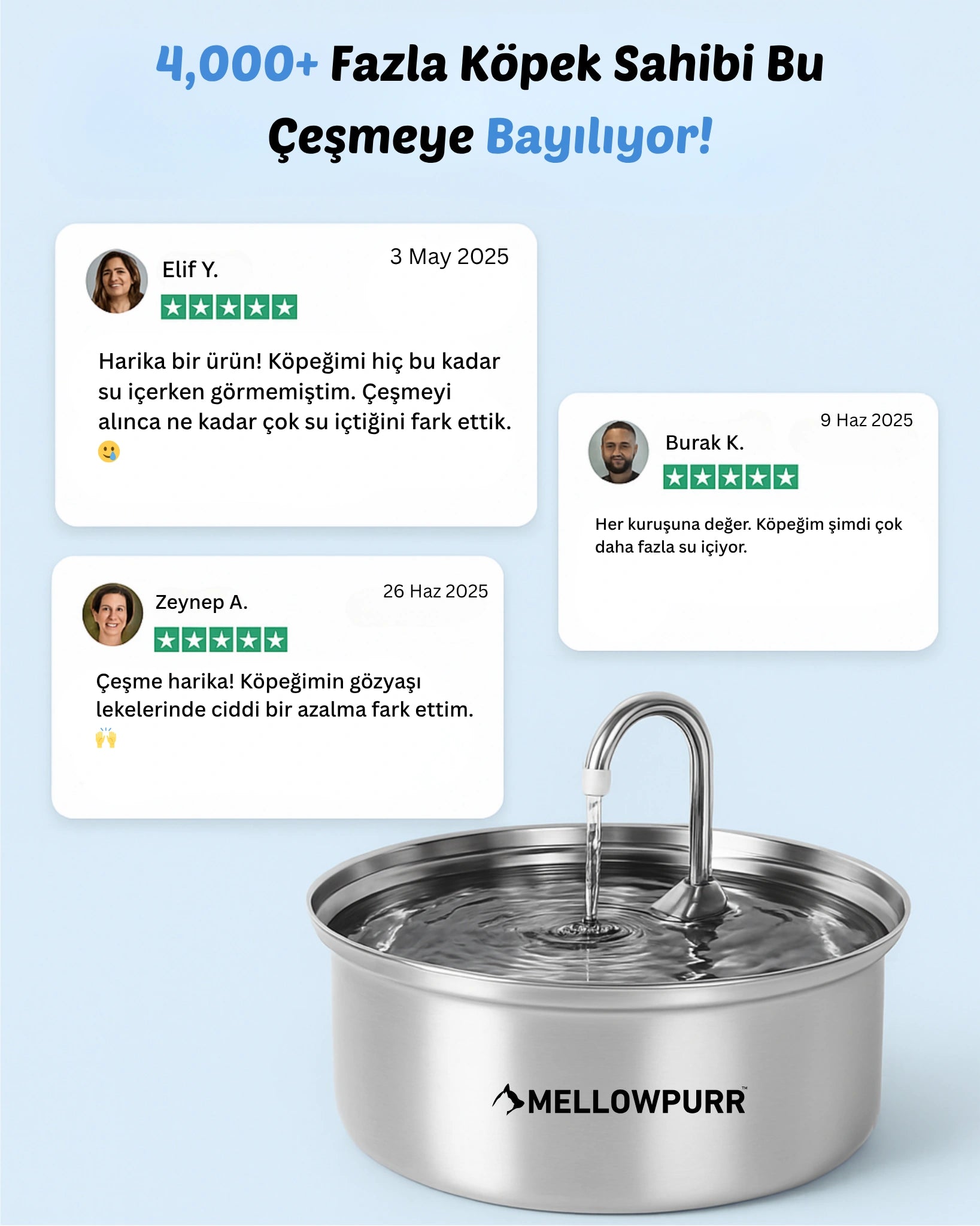 Mellowpurr Karbon Filtreli Su Pınarı - Gizli Susuzluğa Karşı "O susadığını söyleyemez… ama sen anlayabilirsin."