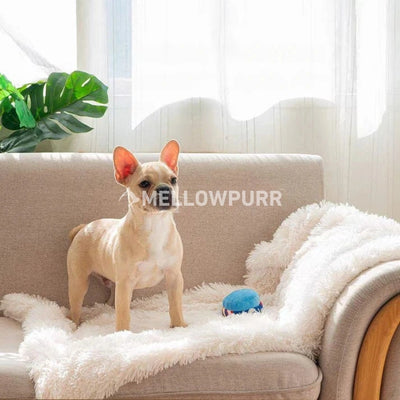 Mellowpurr Huzurlu Cozy Battaniye