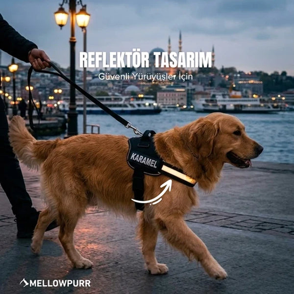 MellowPurr Özelleştirilebilir No Pull Köpek Tasması