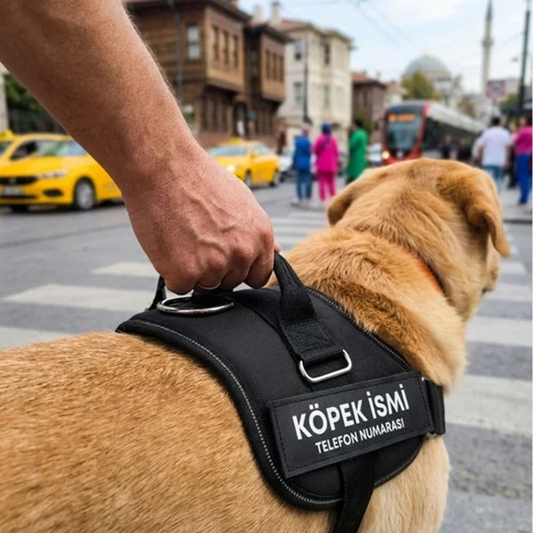 MellowPurr Özelleştirilebilir No Pull Köpek Tasması