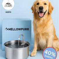 Mellowpurr Karbon Filtreli Su Pınarı - Gizli Susuzluğa Karşı 