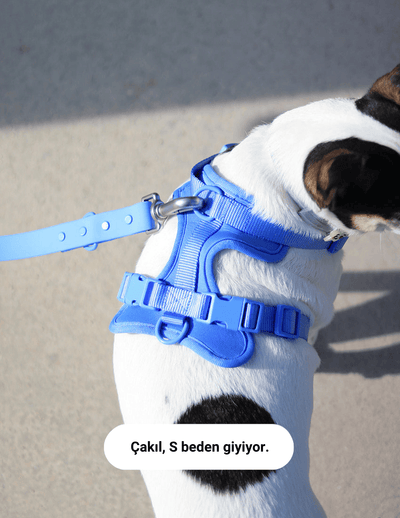 Mellowpurr Yürüyüş Seti - Bebek Mavisi