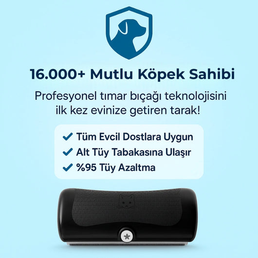 Mellowpurr GroomPro 2.0 – Her Fırçada Kontrolü Geri Kazan
