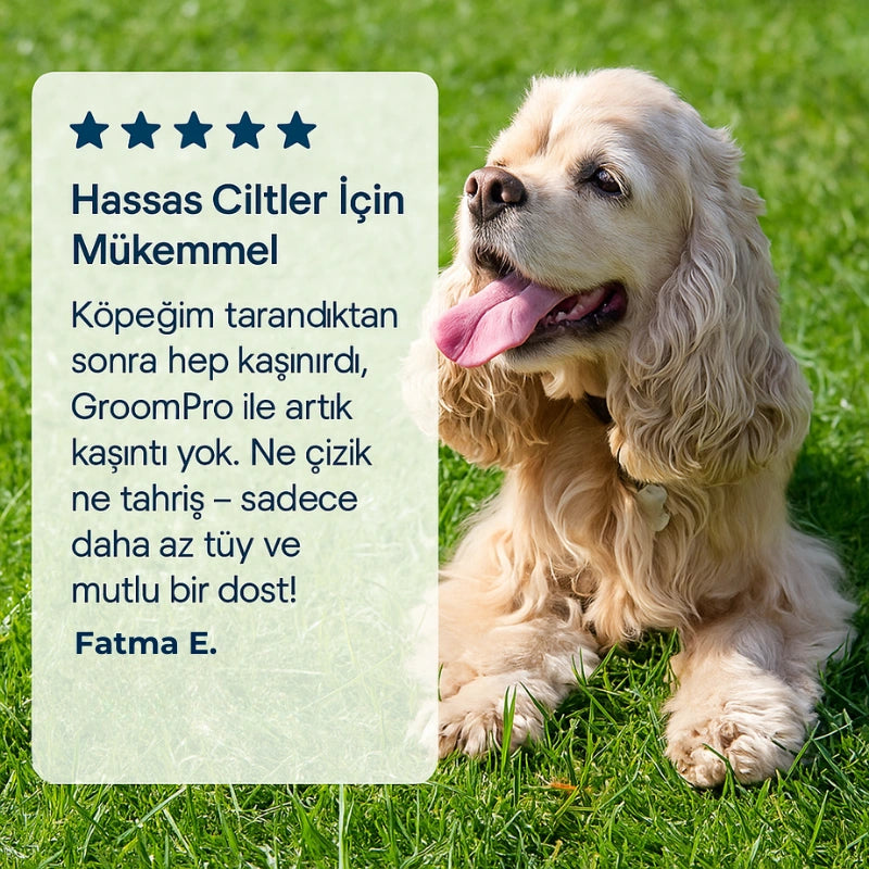 Mellowpurr GroomPro 2.0 – Her Fırçada Kontrolü Geri Kazan