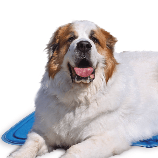 Mellowpurr Cool Pet Pad