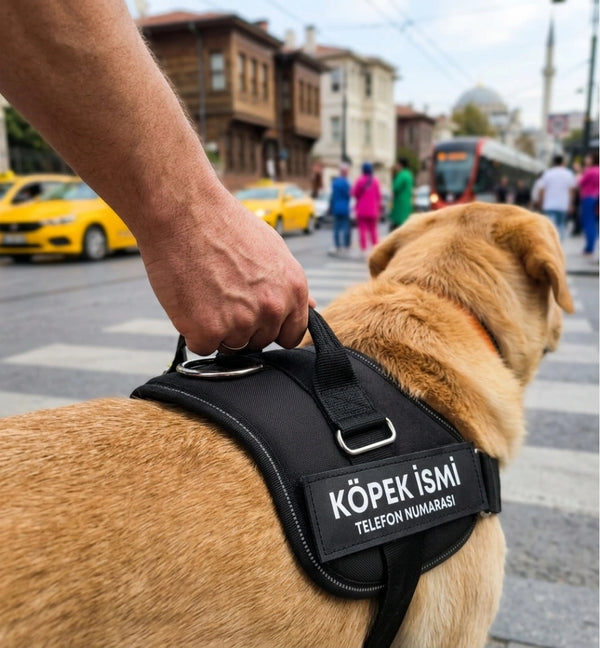 MellowPurr Özelleştirilebilir No Pull Köpek Tasması