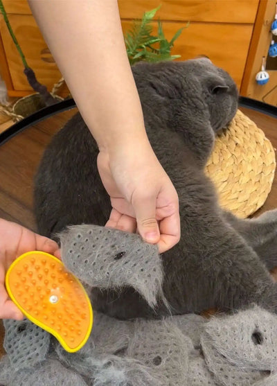 Mellowpurr Kedinin tüylerini parlaklaştırma