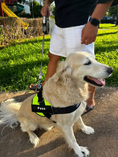 MellowPurr Özelleştirilebilir No Pull Köpek Tasması