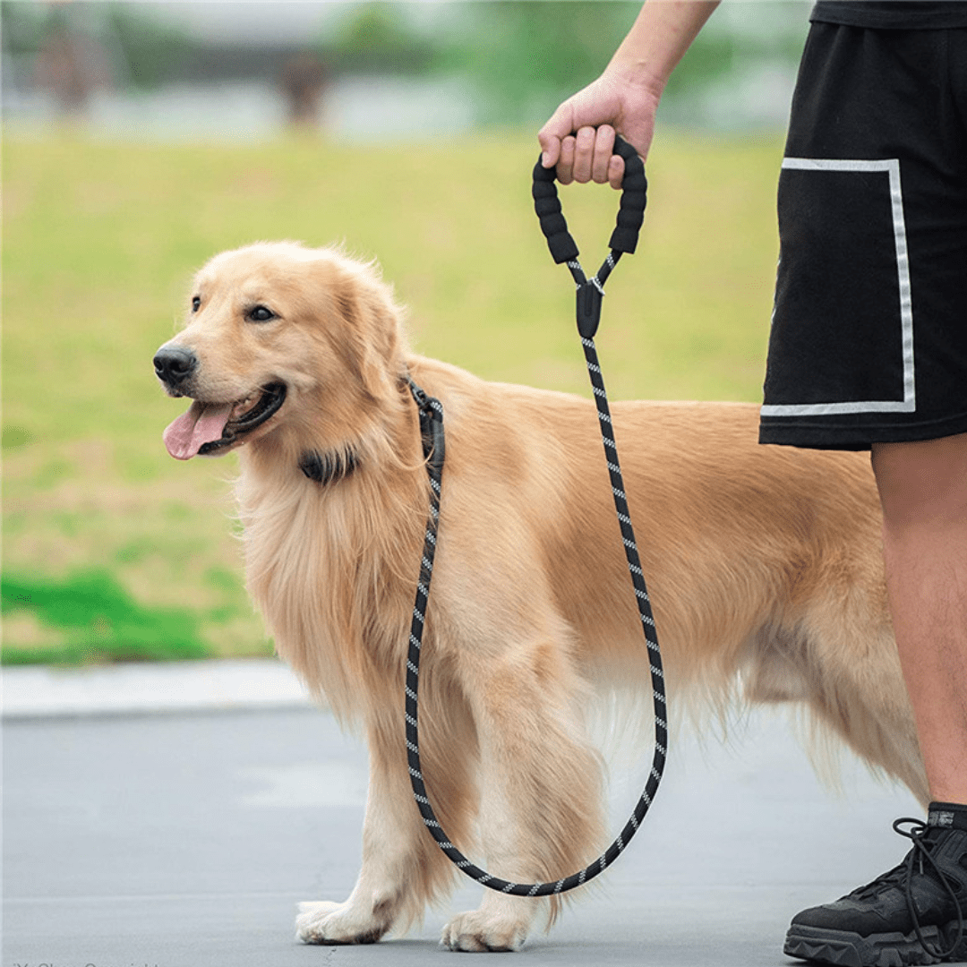 Güçlü Yansıtıcı Köpek Tasması Halatı